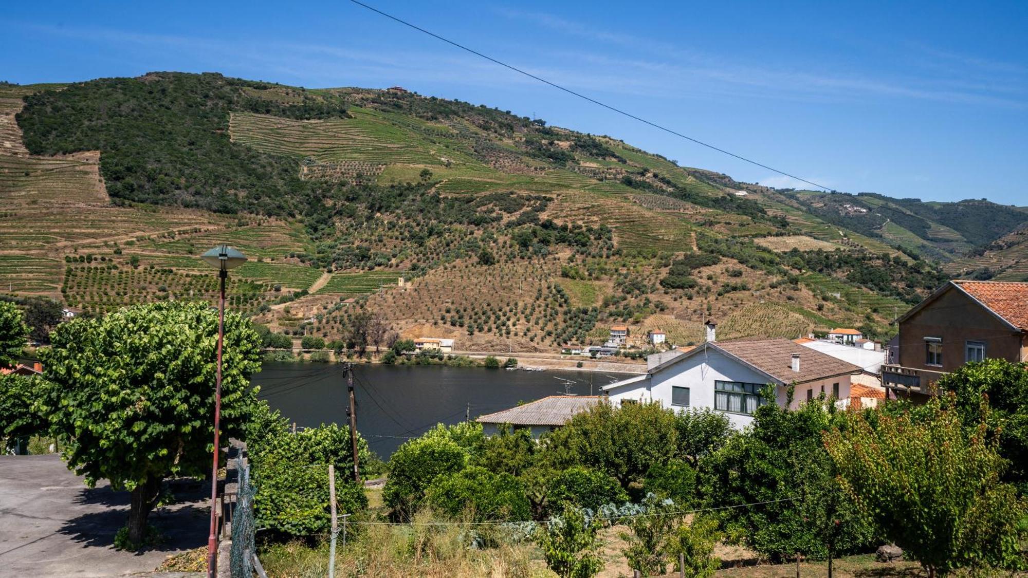 Lazer Folgosa (Viseu)